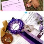 447444184_25952979494315958_6324525232188243670_n