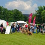 447635183_25960116503602257_6874971151720528490_n