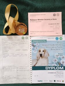 447782779_25960125326934708_7534845117608295827_n