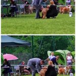 447822713_25952979814315926_5847471877428654867_n