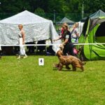 447964231_25960120176935223_7127616741615845575_n