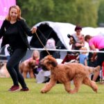 448108884_25969647339315840_249675680186828347_n