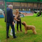 448656714_26075814425365797_8310479119882202528_n