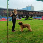 448673559_26075814885365751_1785938539792111749_n