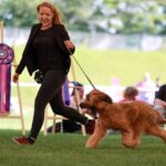 448911124_26067552322858674_1322849632317246729_n