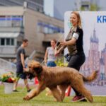 449317229_26146792801601292_99465343550162265_n