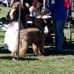 460723977_27086470784300151_4834054221354088343_n