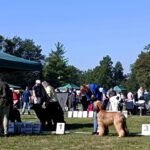 460851062_27086470434300186_7881143869835203558_n