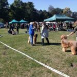 460852113_27086469927633570_2598083638535631758_n