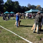 460893365_27086469410966955_4545134095827061109_n