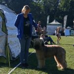 460957970_27086471864300043_8538025220249279620_n