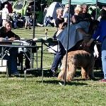 460958586_27086471327633430_6132911580101848521_n