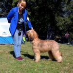 460958995_27086468887633674_2419019380166311585_n