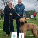 462186543_27330409536572940_1326515797724215487_n