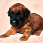 FB_IMG_1734817174777