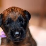 FB_IMG_1734817177455