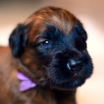 FB_IMG_1734817180238