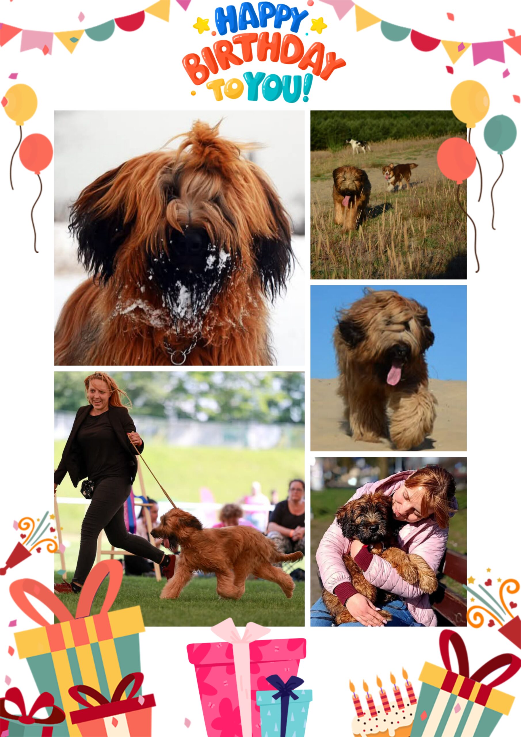 GridArt_20241219_173742467