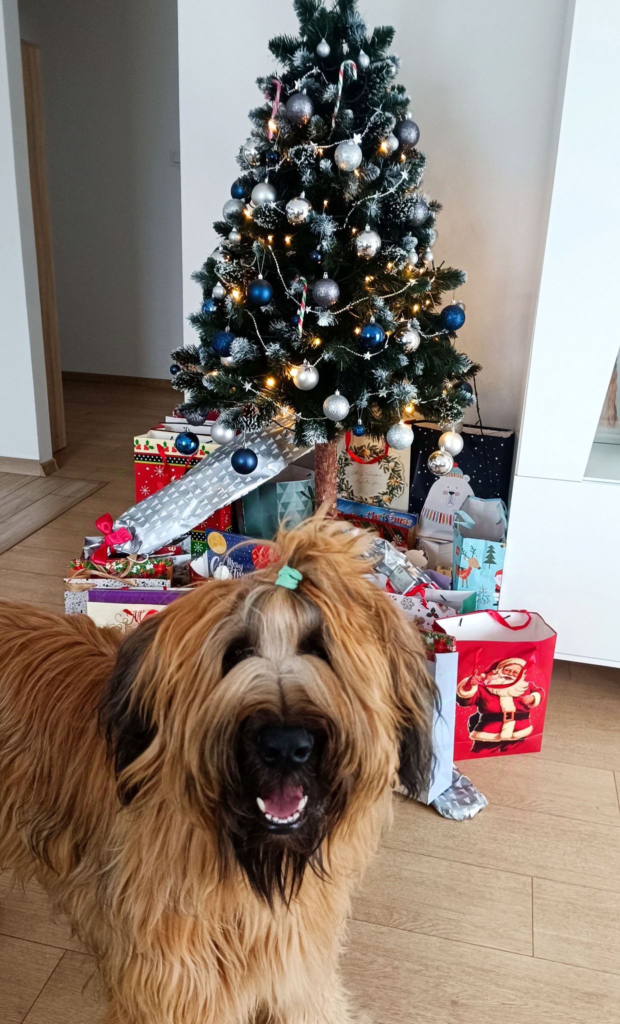 471419488_28238857875728097_5148382382043670387_n