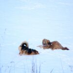 472569766_28354272657519951_5974618286616373942_n