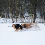 472654057_28354273630853187_1416239752637781876_n