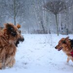 472656683_28354272044186679_2818659930974228877_n