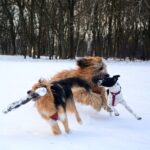 472685418_28354273030853247_5904462529239177169_n