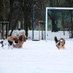 472688245_28354273354186548_1824936872436004983_n