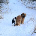 472718423_28368138152800068_2660438268563957416_n