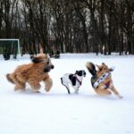 472718617_28354271414186742_644984567876522441_n