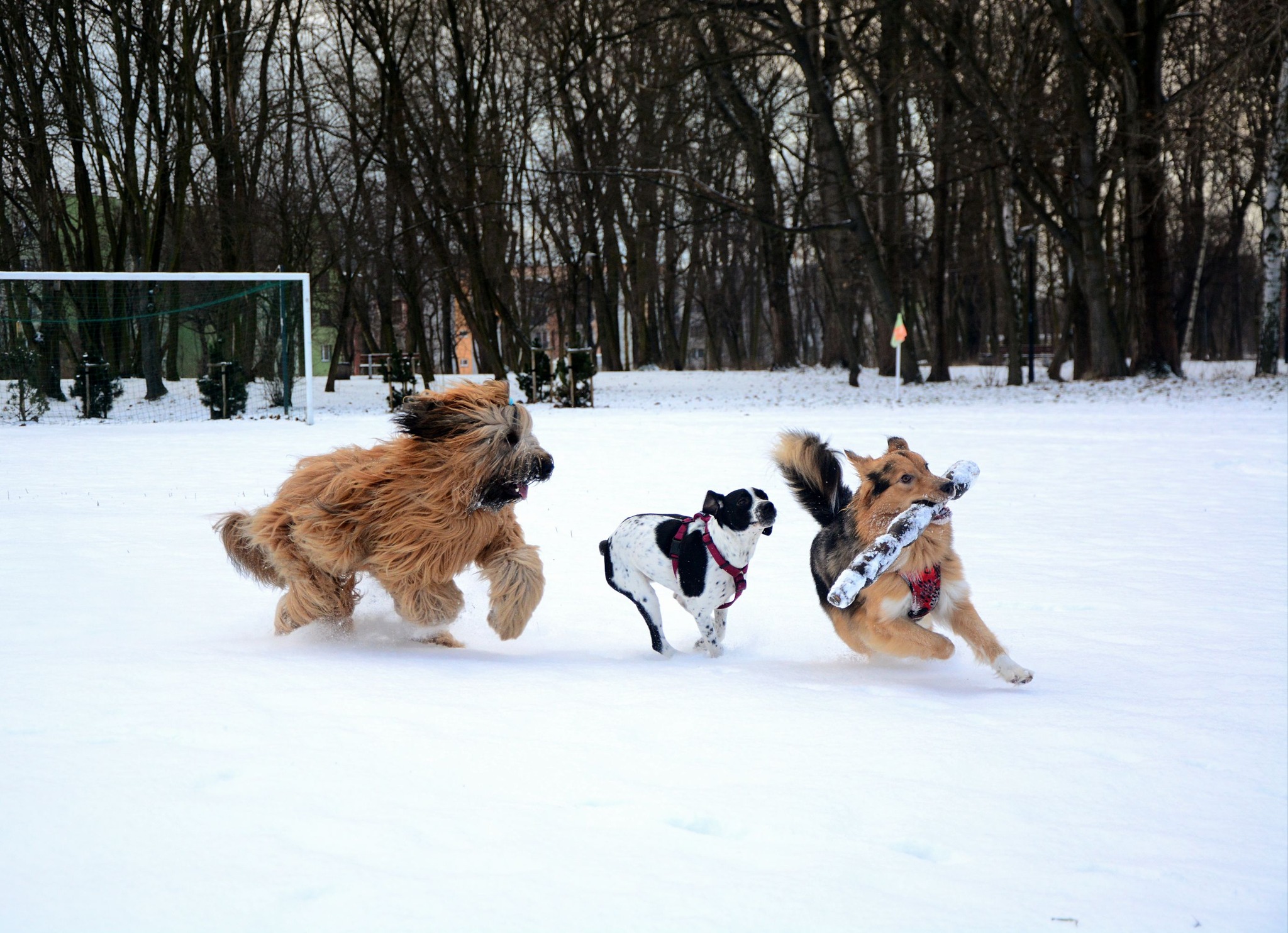 472718617_28354271414186742_644984567876522441_n