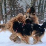 472721121_28368138519466698_5209916029101223249_n