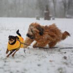 472721517_28354272360853314_1053691271177010106_n