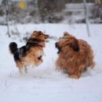 472737982_28354270560853494_2593765587667474505_n