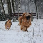 472751108_28368138839466666_5373292520246158281_n