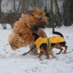 472758200_28354271080853442_8267532963669907223_n