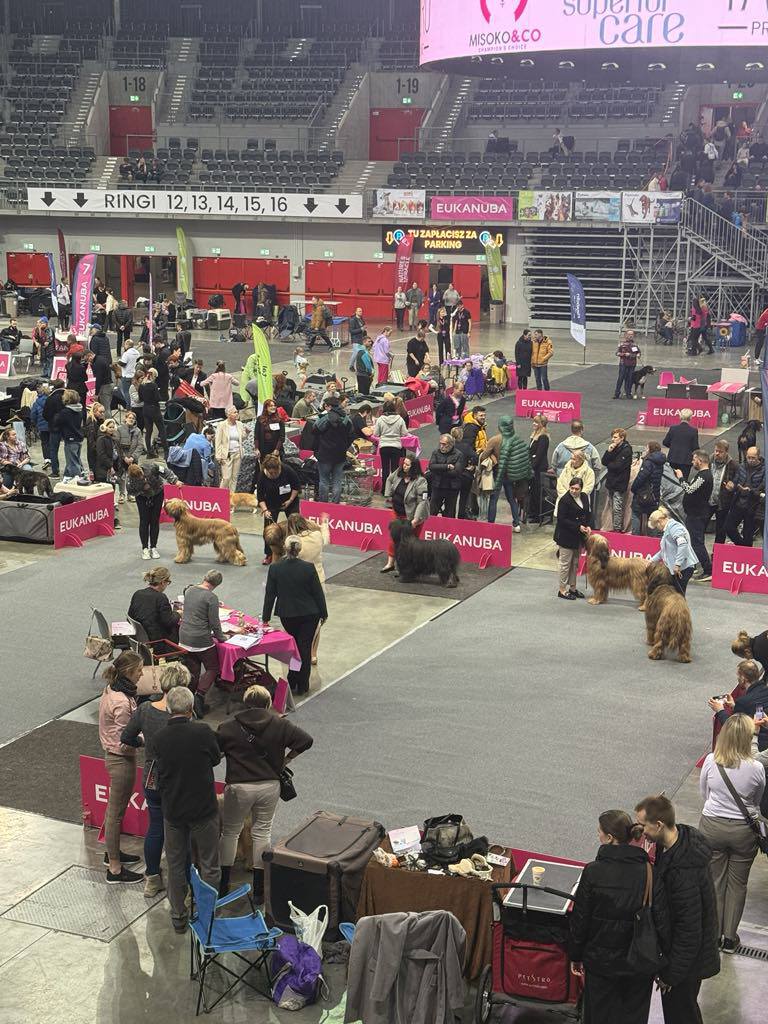 476432571_28702111672736046_7819372875574932979_n