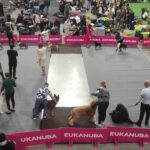 476623323_28710455881901625_4308981703788360046_n