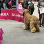 476652995_28702112026069344_906550426320099815_n