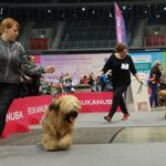 477180069_28729422206671659_7385278746529554622_n