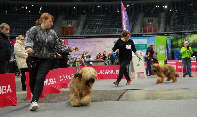 477180069_28729422206671659_7385278746529554622_n