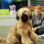 477544405_28728432186770661_2560337049885936756_n