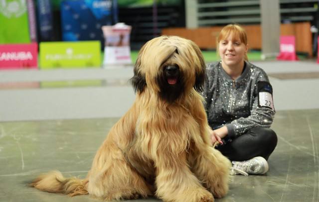 477544405_28728432186770661_2560337049885936756_n