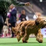 477622056_28711844998429380_5565257317883930024_n