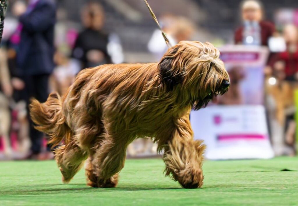 477622056_28711844998429380_5565257317883930024_n1