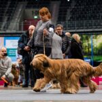 480025984_28757368153877064_7264784900658393056_n