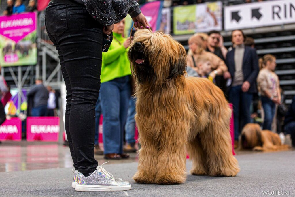 480054602_28757368673877012_4023014208586435026_n