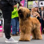 480054602_28757368673877012_4023014208586435026_n