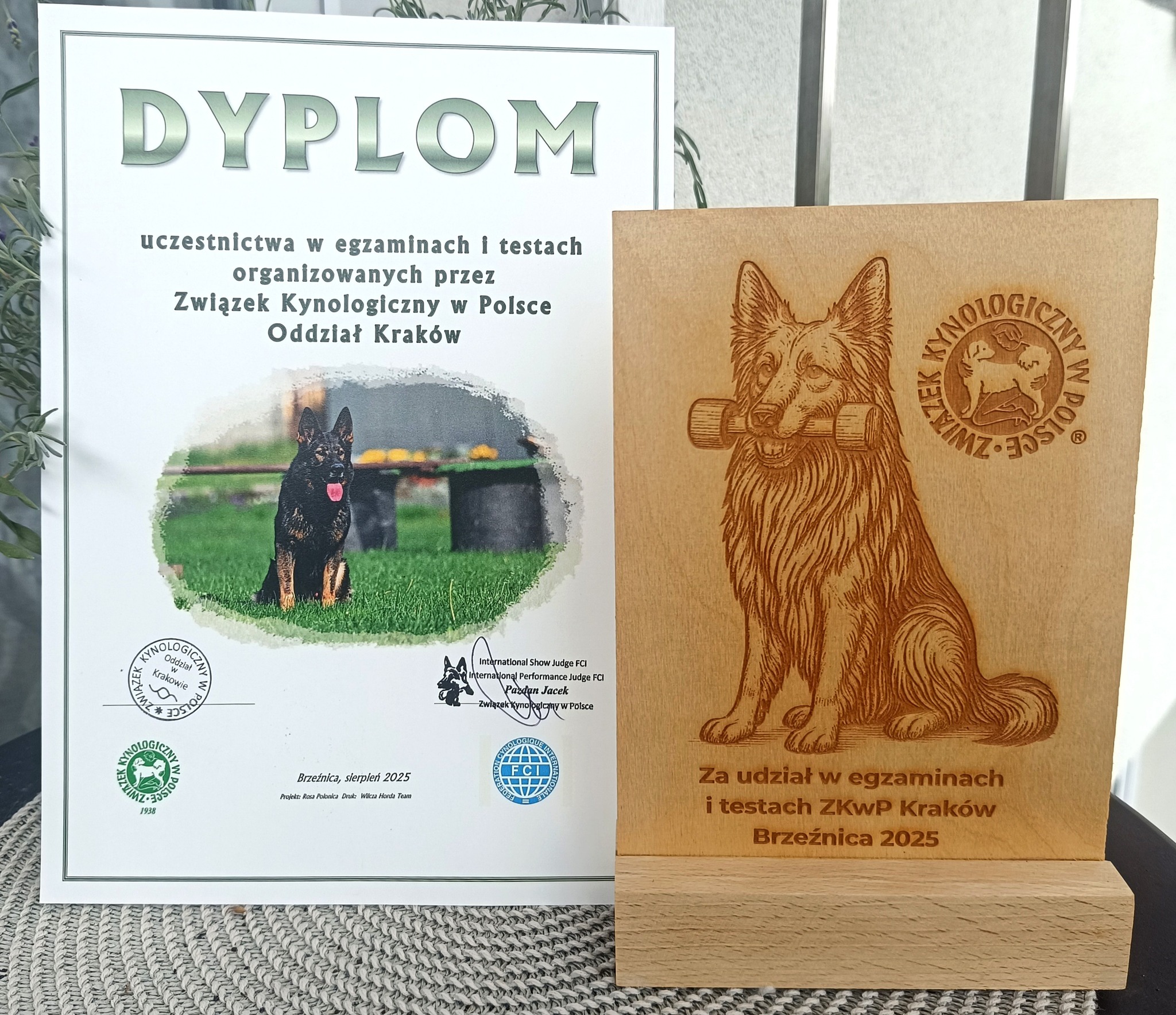 briard z pierwszej ligi (4)