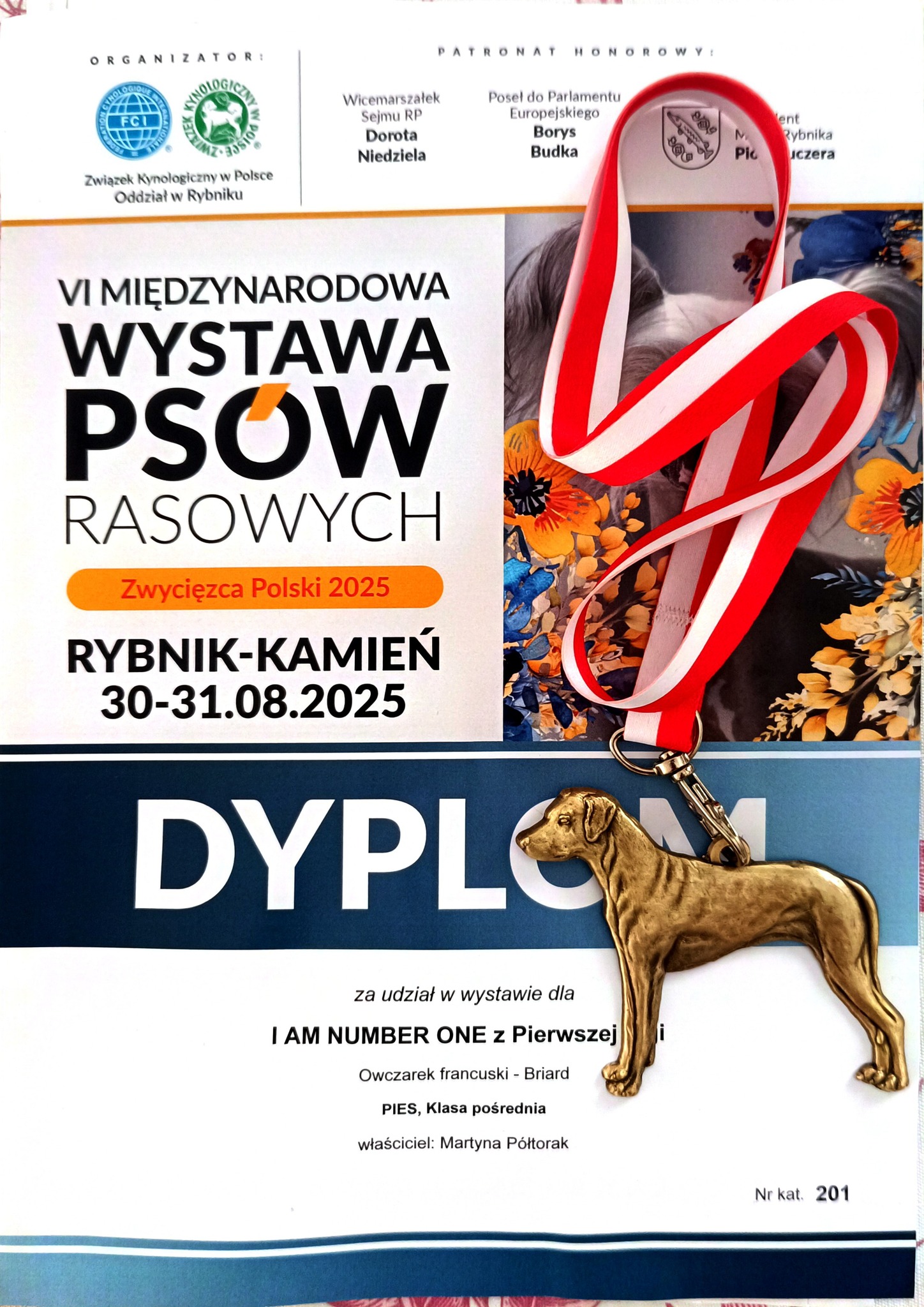 briard_dog_show (39) briard_dog_show (39)